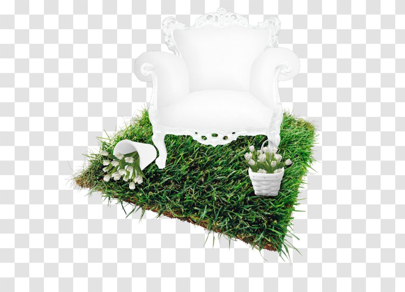 Land Lot Square Meter Renting Dacha - Aire - Turf Lawn Chair Transparent PNG