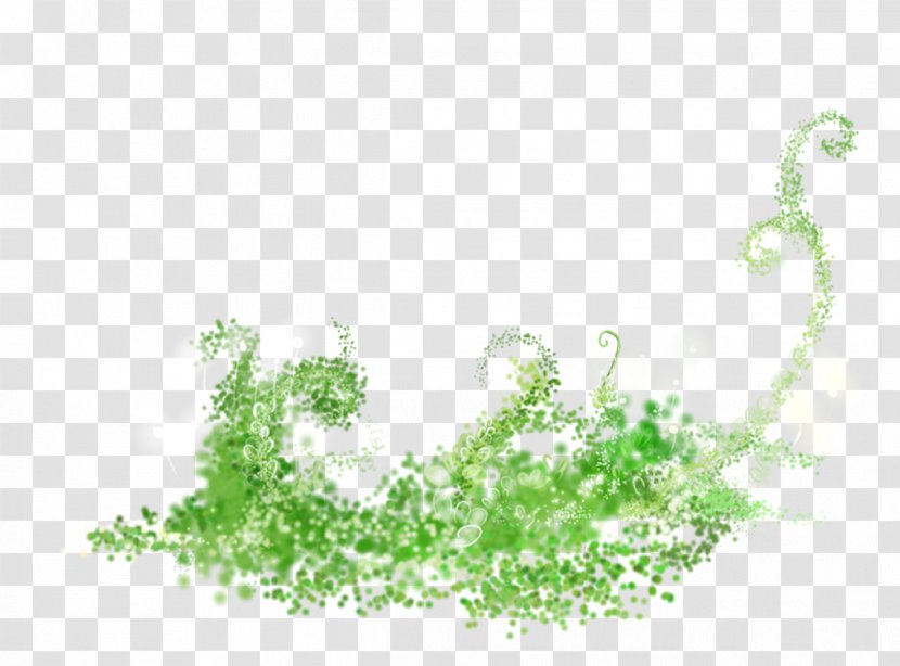Illustration - Plant - Green Grass Transparent PNG
