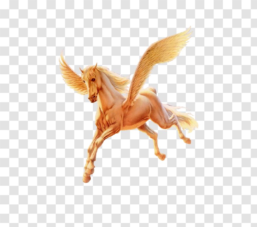 Horse Pegasus Unicorn - Organism - Flying Transparent PNG