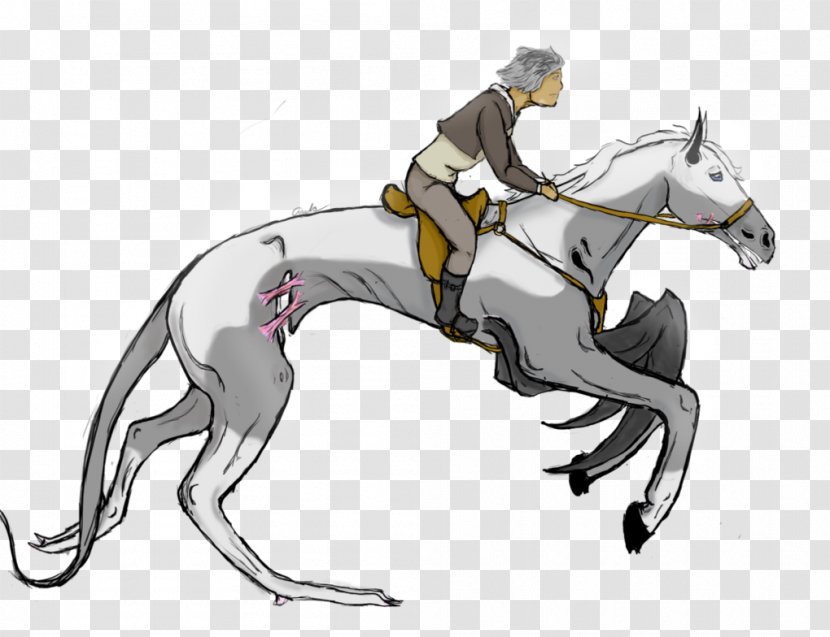 Mustang Pony English Riding Rein Mane Transparent PNG