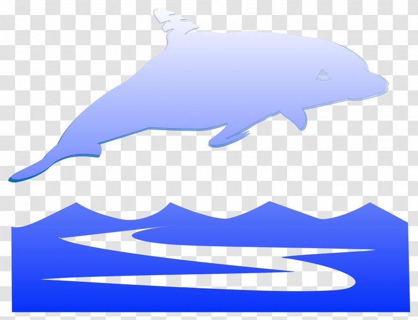Common Bottlenose Dolphin Tucuxi Porpoise Marine Mammal - Biology Transparent PNG