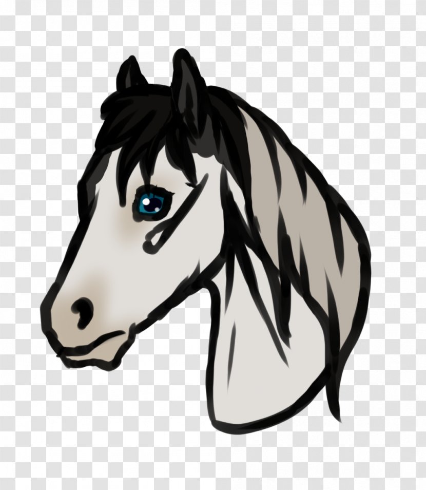 Mane Halter Mustang Stallion Colt - Yonni Meyer Transparent PNG