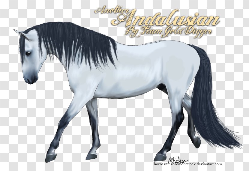 Mustang Stallion Mare Halter Rein - Ford Transparent PNG