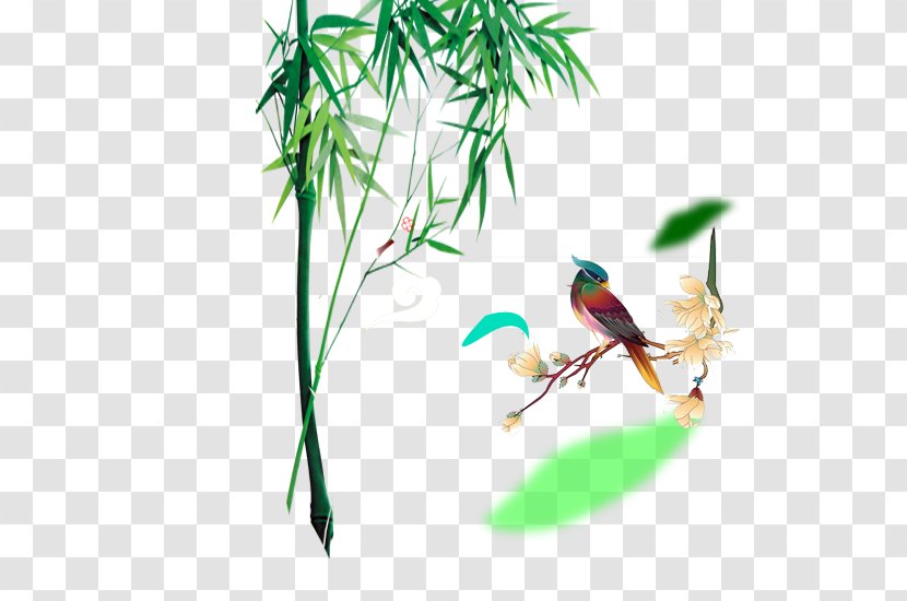 Bamboo Bamboe Download Computer File - Bird Transparent PNG