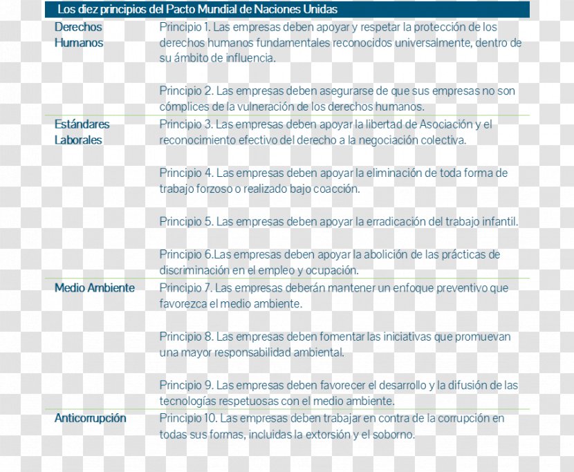 Document Line Font - Paper Transparent PNG