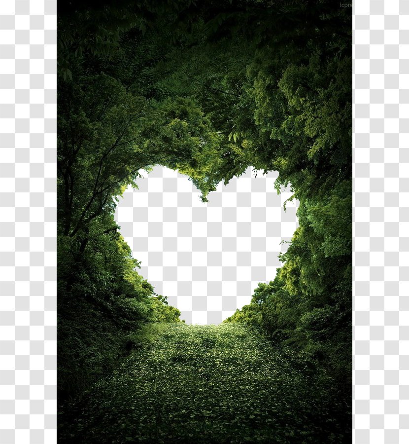 Heart Nature Valentine's Day Love Wallpaper - Romance Transparent PNG