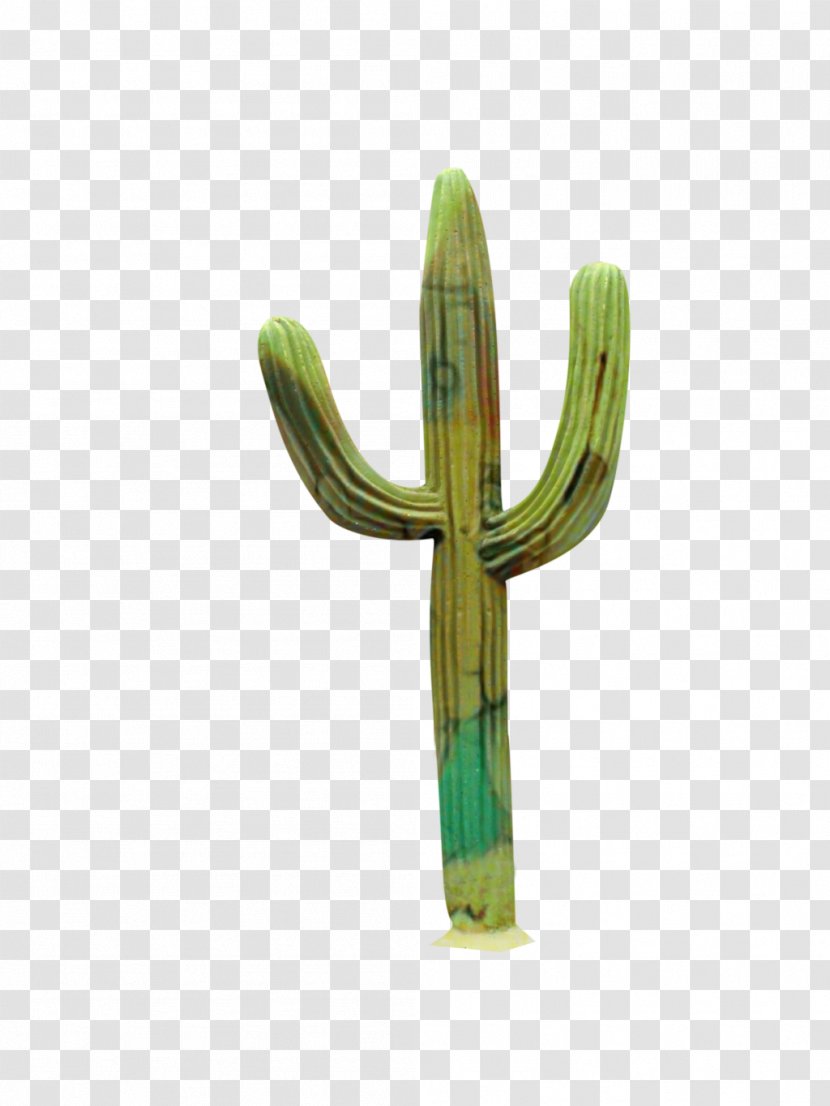 Cactus Cartoon - Plants - Hedgehog Symbol Transparent PNG