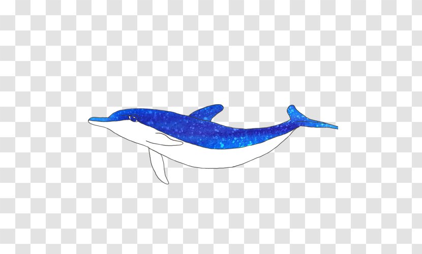 Baleen Whale Dolphin Seabed - Tail Transparent PNG