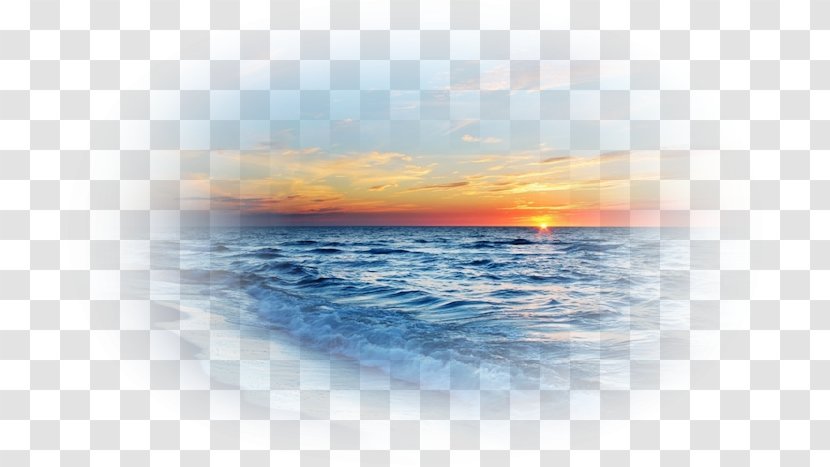 Sea South Beach Shore Clip Art - Ocean Transparent PNG