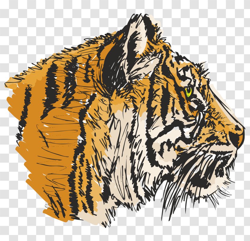 Tiger Clip Art - Graphic Arts Transparent PNG