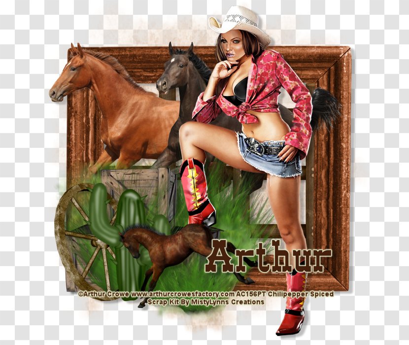 Bridle Stallion Halter Rein Cowboy - Spice - CowGirls Transparent PNG