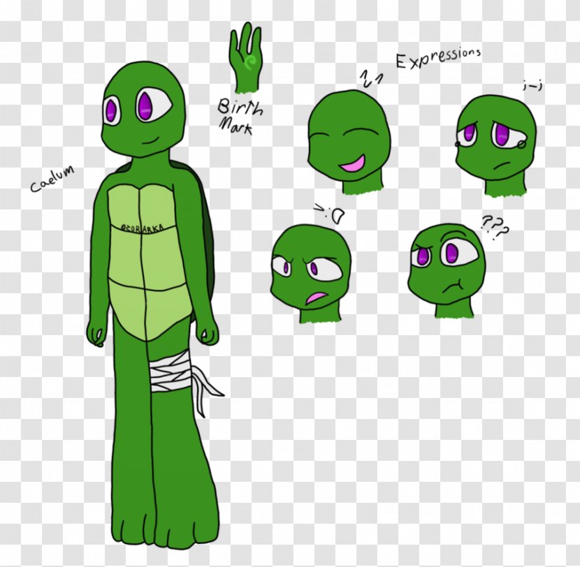 Raphael Venus Teenage Mutant Ninja Turtles Drawing - Human Behavior - Little Turtle Transparent PNG