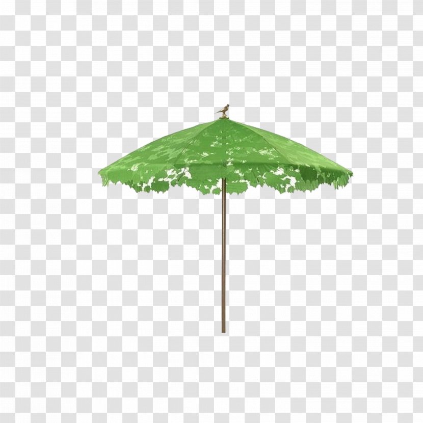Umbrella Droog Shade Auringonvarjo - Plant Transparent PNG
