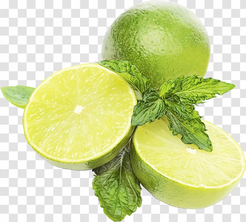 Lemon Cartoon - Lemonlime Drink - Peel Plant Transparent PNG