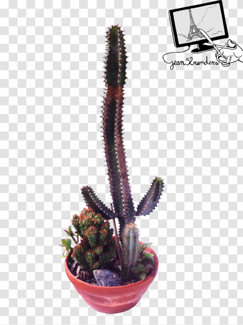 Citroën Cactus M Flowerpot - Plante Transparent PNG