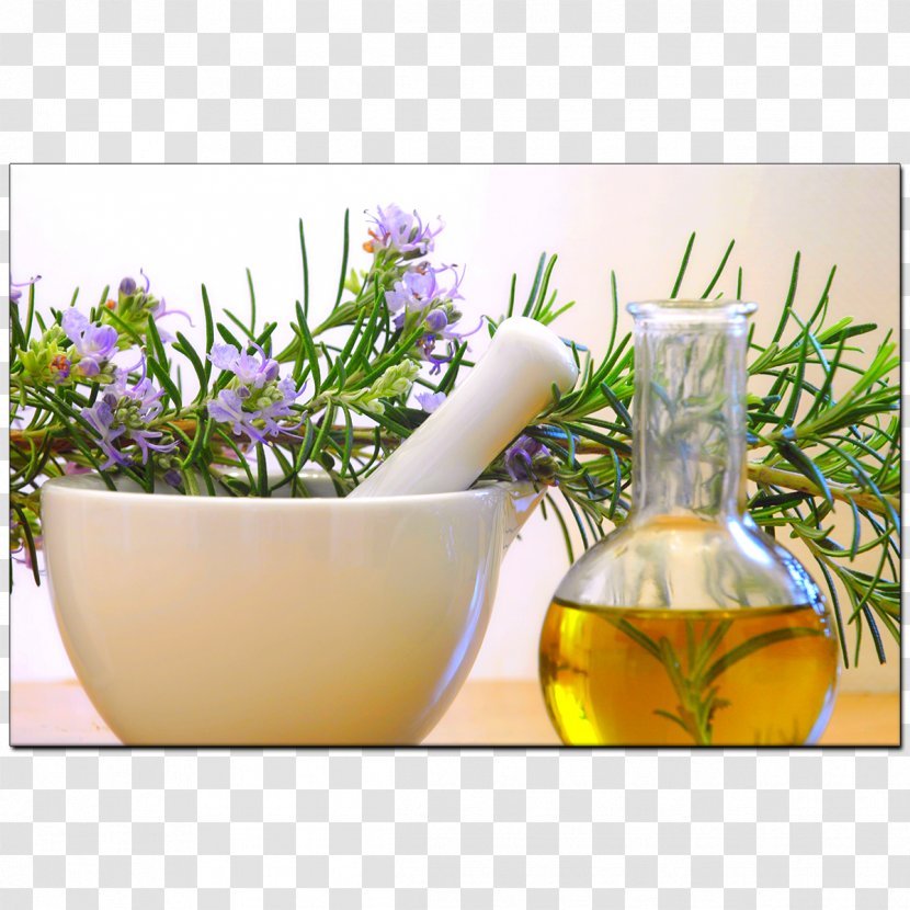 Essential Oil Rosemary Aromatherapy - Skin - Pestle Transparent PNG