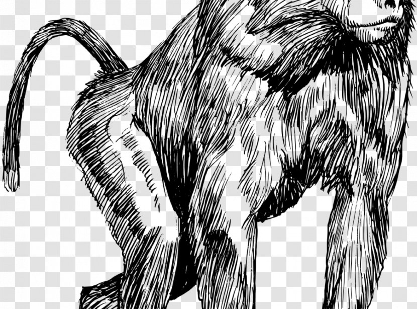 Mandrill Chacma Baboon Drawing Hamadryas Clip Art - Monochrome Photography - Monkey Transparent PNG