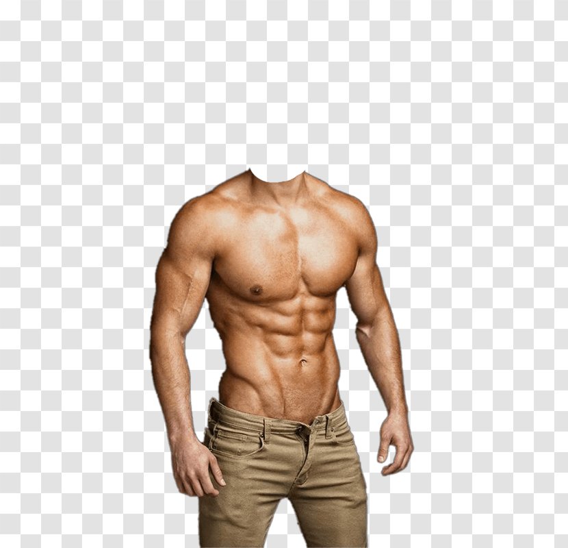PicsArt Photo Studio Android Rectus Abdominis Muscle - Tree Transparent PNG