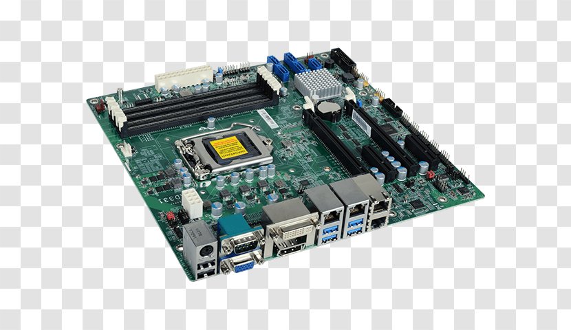 Graphics Cards & Video Adapters Motherboard Central Processing Unit Intel Computer Hardware - Personal Transparent PNG