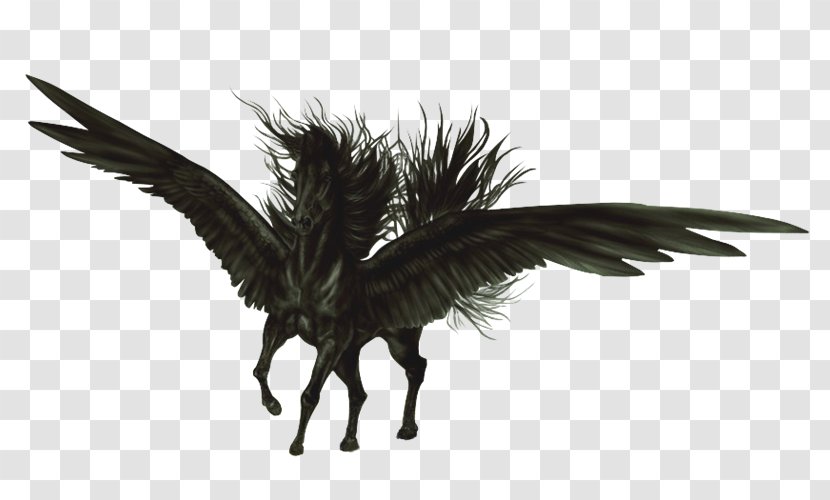 Flying Horses Pegasus Aile Black - Wing - Gg Transparent PNG