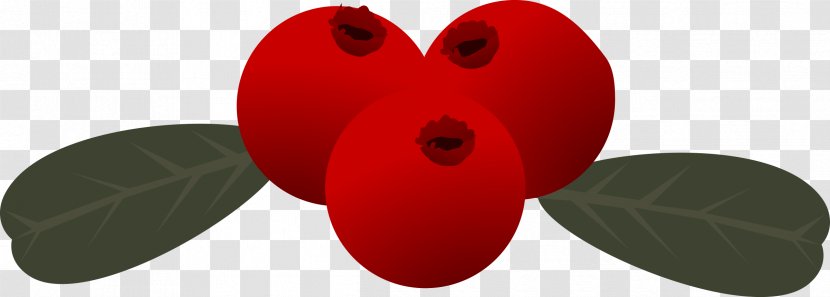 Berry Clip Art - Flower - Berries Transparent PNG