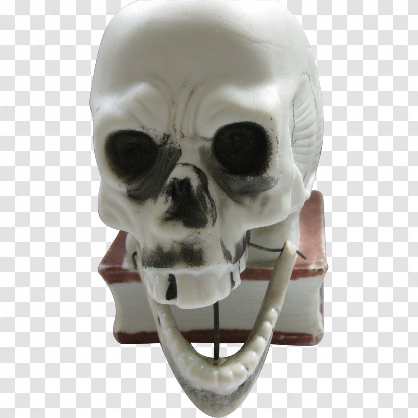 Skull Skeleton - Snout Transparent PNG