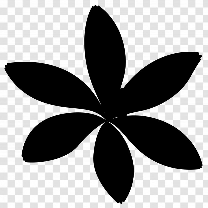 Line Symmetry Clip Art Leaf - Black - Petal Transparent PNG