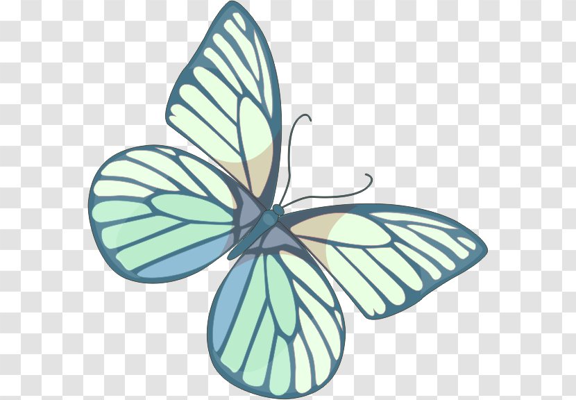 Butterfly Art Clip - Fundal - Symmetry Transparent PNG