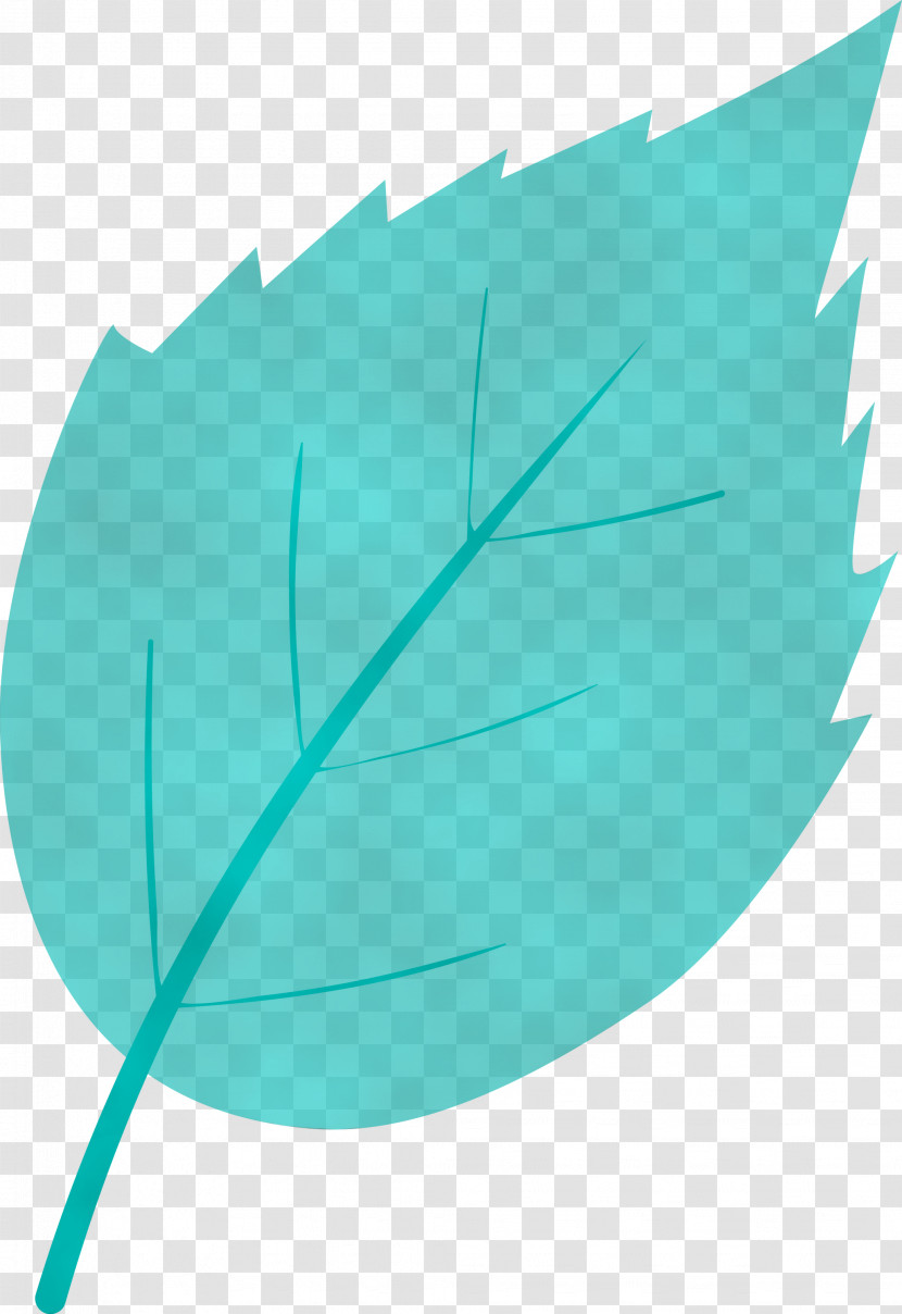 Feather Transparent PNG