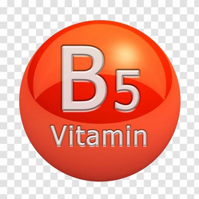 Dietary Supplement Pantothenic Acid B Vitamins Biotin - Riboflavin - Health Transparent PNG