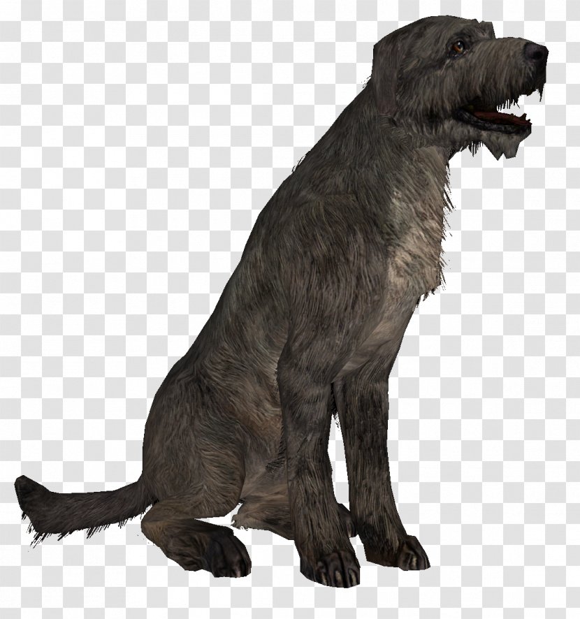 Dog Breed The Elder Scrolls V: Skyrim Irish Wolfhound Puppy Scottish Deerhound - Cane Corso - Jingdong Transparent PNG