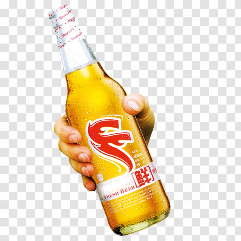 Beer Bottle Poster Tsingtao Brewery - Man Finger Transparent PNG