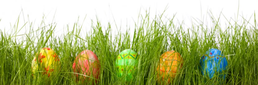 Easter Bunny Red Egg Hunt - Grass - Beautiful Eggs In Transparent PNG