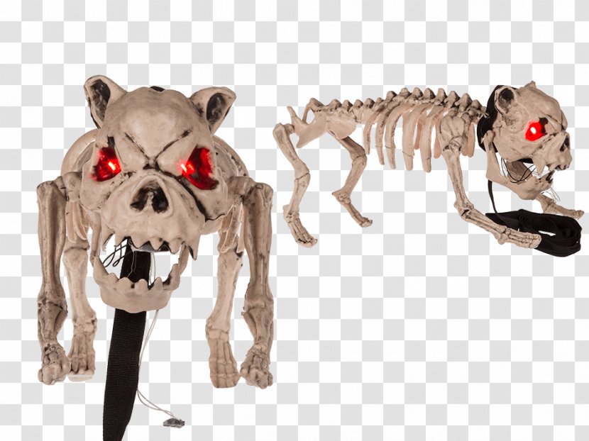 Light Snout C&A Kostra Psa Carnivora - Animal Figure Transparent PNG