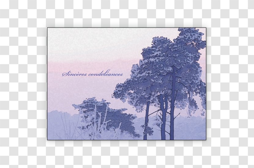 Condolences Mourning Death Obituary Greeting & Note Cards - Sincere Invitation Transparent PNG