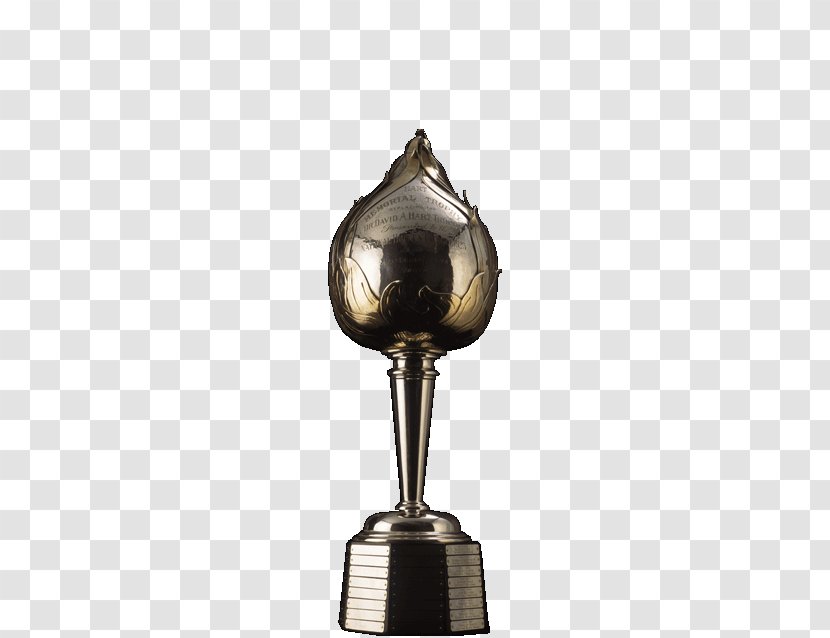 National Hockey League Hart Memorial Trophy Pittsburgh Penguins Art Ross - Presidents Transparent PNG