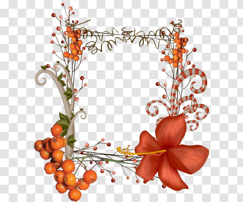 Flower - Floristry - Picture Frames Transparent PNG