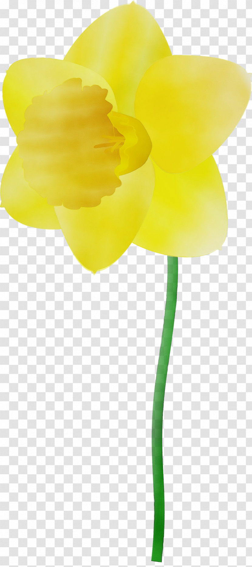 Yellow Flower Cut Flowers Plant Petal Transparent PNG