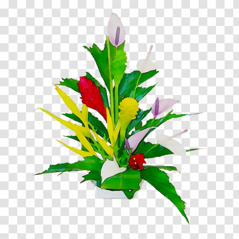 Floral Design Cut Flowers Flower Bouquet Plant Stem - Botany Transparent PNG