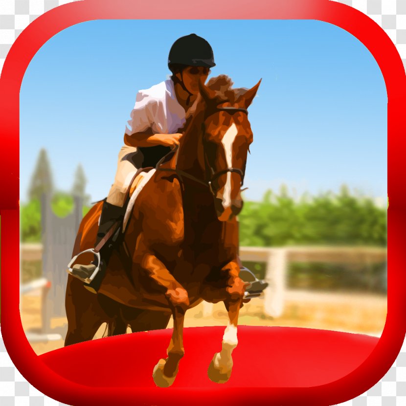 American Quarter Horse Equestrian Stallion Show Jumping Chestnut - Racing Transparent PNG