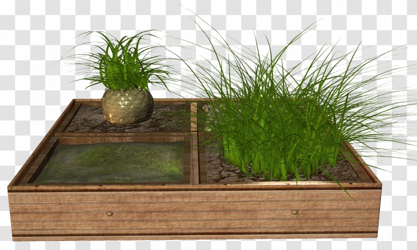 Flowerpot Plant - Grass - Flower Bed Transparent PNG