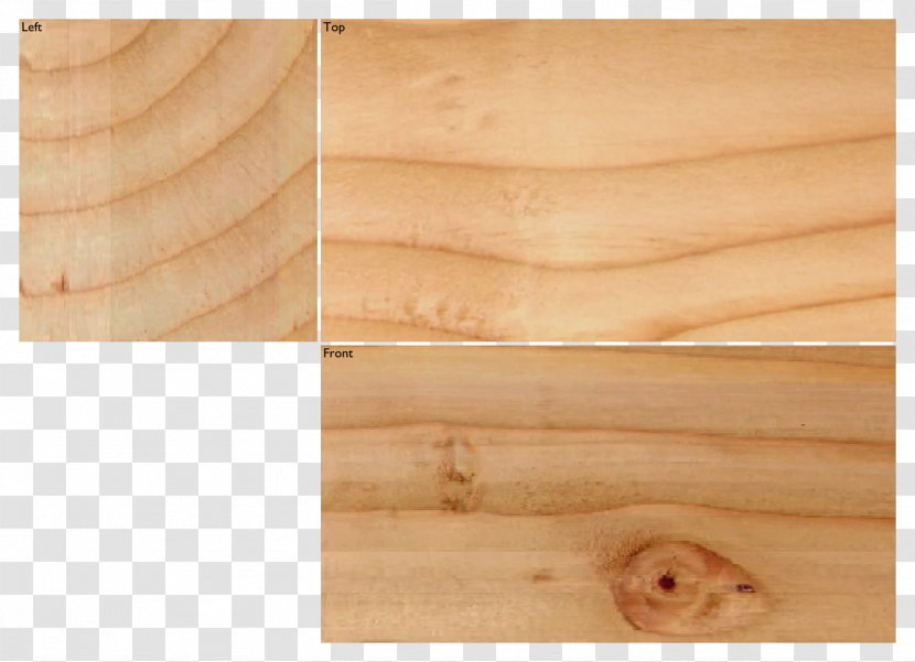 Wood Grain Plywood Stain Hand Planes - Tree - To Background Transparent PNG