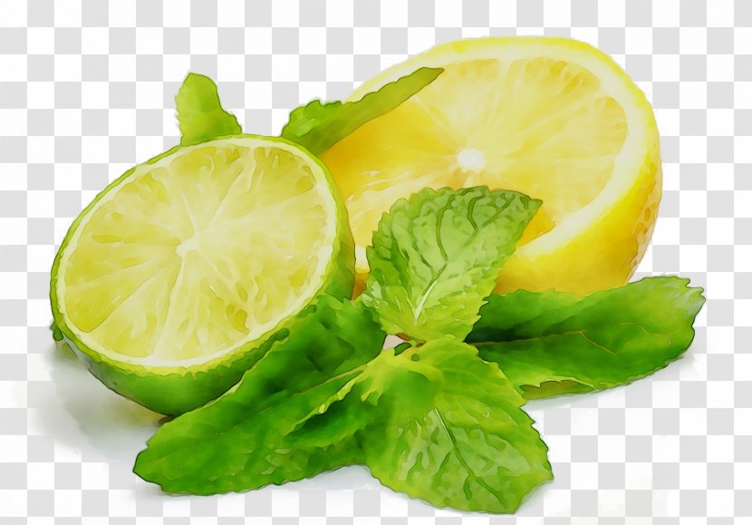 Lemon-lime Drink Key Lime Food Fruit - Sweet Lemon - Peel Transparent PNG