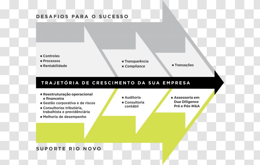 Financial Accounting Audit Consultant Corporate Governance - Sao Paulo - Improvement Transparent PNG