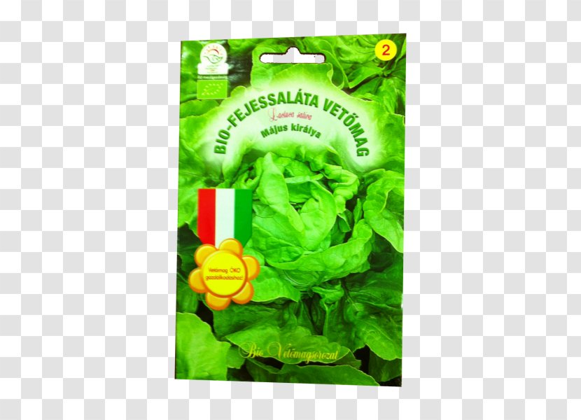 Bok Choy Leaf Vegetable Főzelék Plant Stem - Variety Transparent PNG