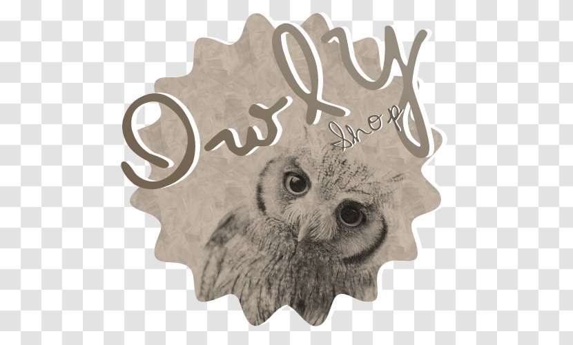 Scops Owl Jewellery Chain Bronze Transparent PNG