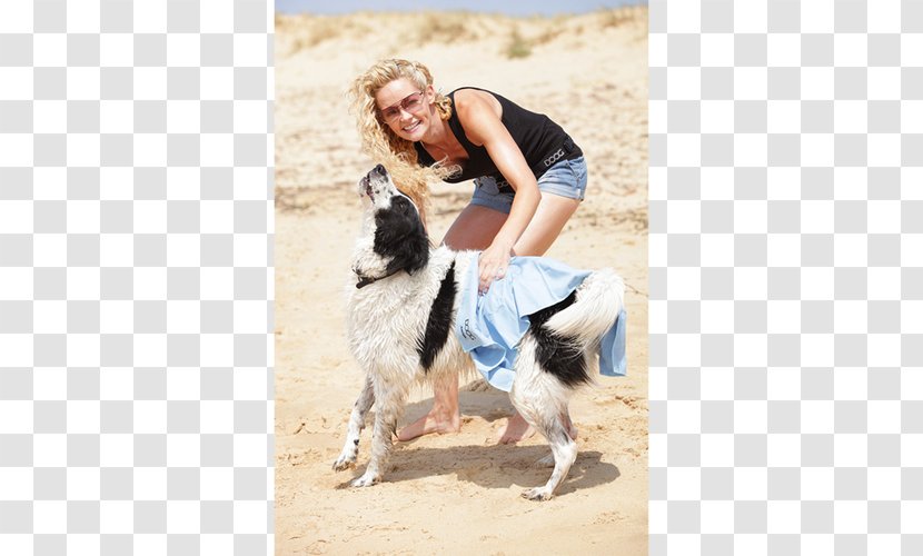 Towel Dog Breed Border Collie Stabyhoun Chamois Leather - Blanket - Bath Transparent PNG