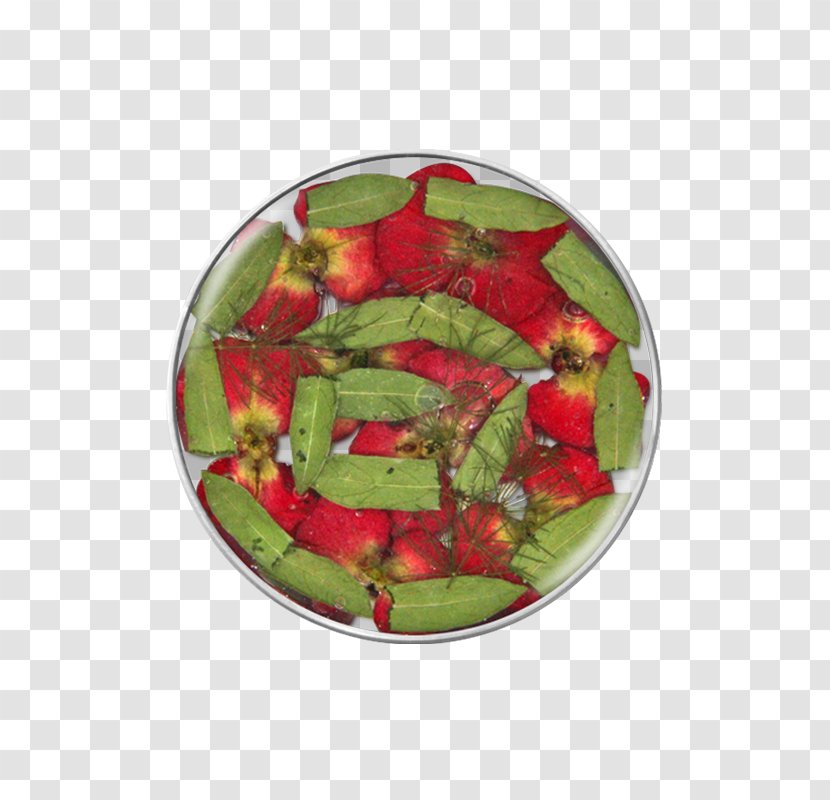 Christmas Ornament Fruit Transparent PNG