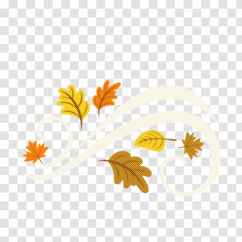 Transparency Autumn Leaf Film Design - English Marigold Mayweed Transparent PNG