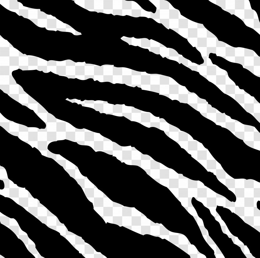 Tiger Stripe Zebra Pattern - Black And White Transparent PNG